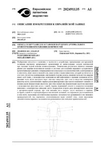 1-EA202491135 page-0001