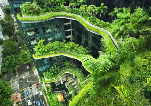 зеленое строительство