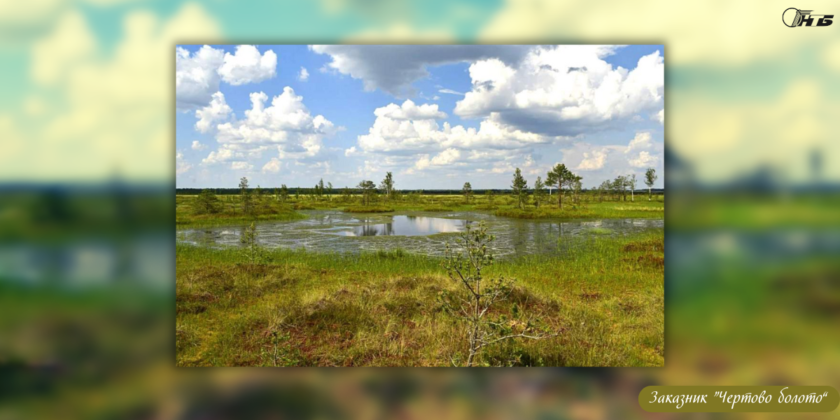 болота Беларуси