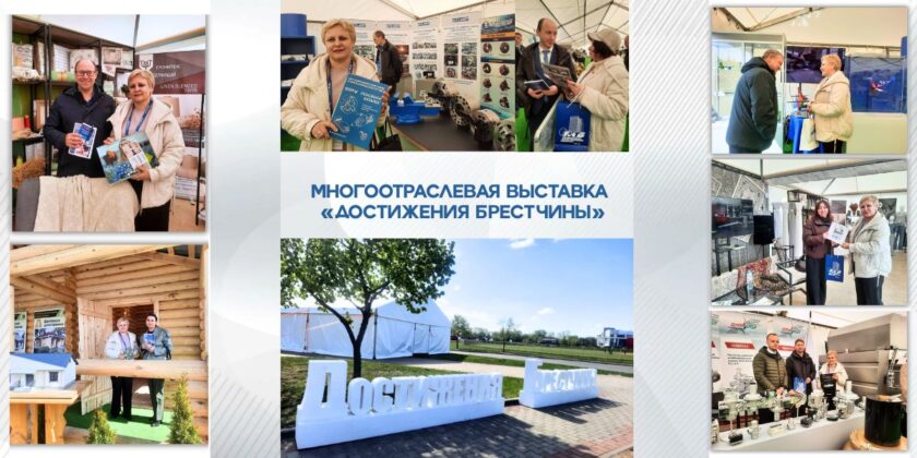 достижения Брестчины