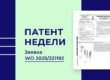 БПЛА для прореживания леса