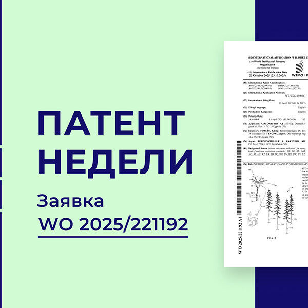БПЛА для прореживания леса