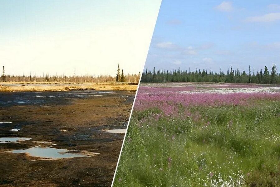 рекультивация земель