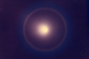 фото 9.